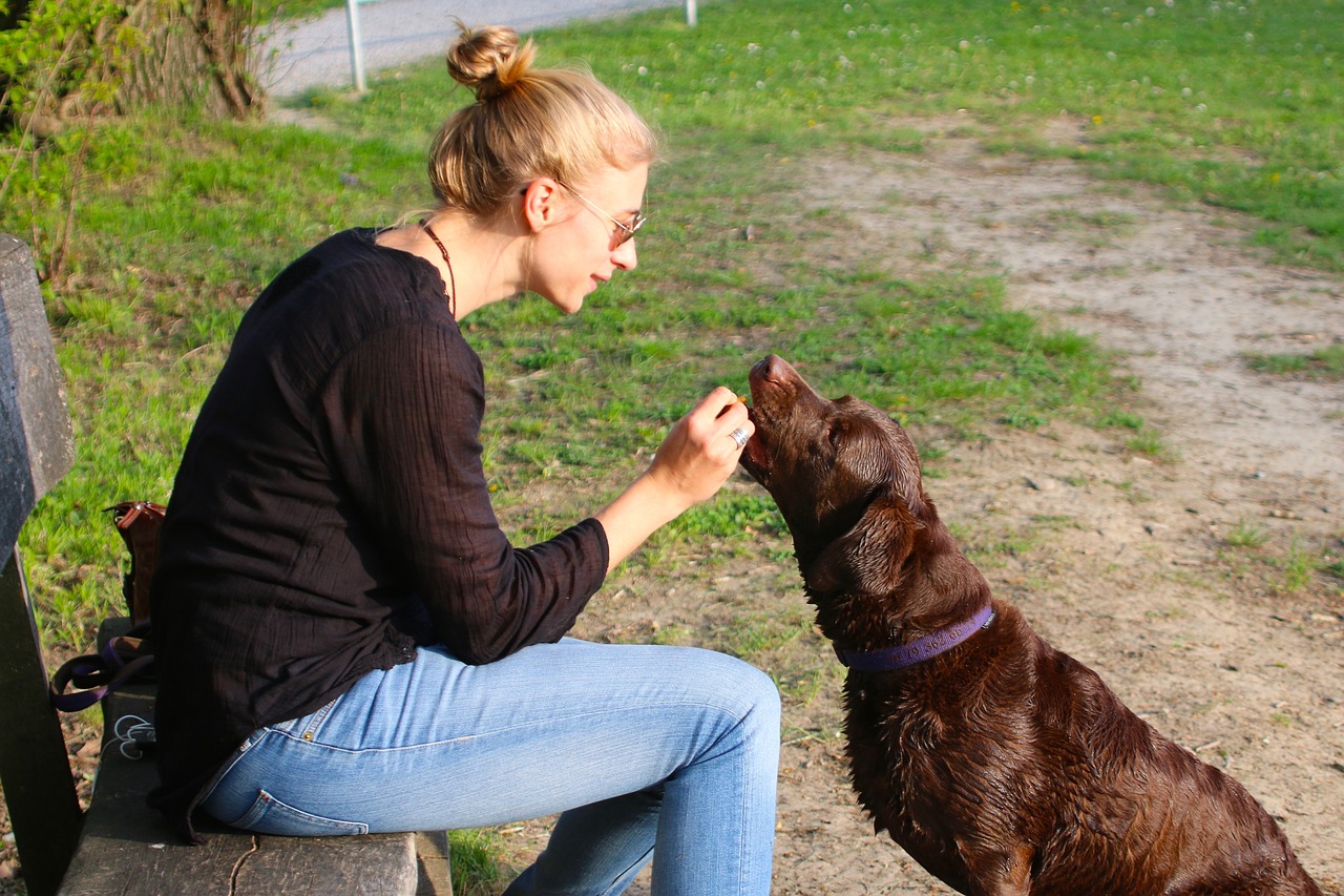 Top 10 Expert Tips for Effective Dog Weight Management: Achieve a Healthier Pet Today