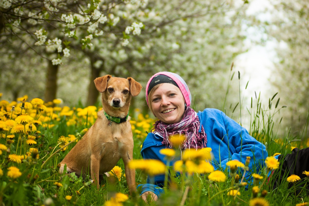 Top 10 Benefits of Enrolling Your Puppy in Professional Training Classes